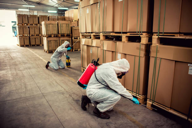 Best Affordable Pest Control Services  in Ellport, PA
