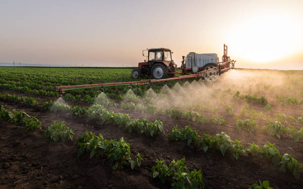 Best Commercial Pest Control Services  in Ellport, PA