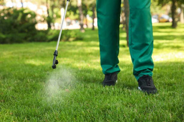 Professional Pest Control in Ellport, PA