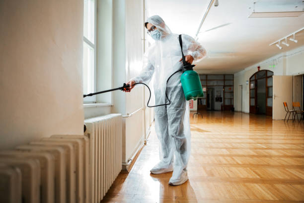 Best Emergency Pest Control  in Ellport, PA