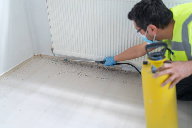 Best Ant Control Services  in Ellport, PA