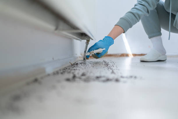 Best Mosquito Control Services  in Ellport, PA